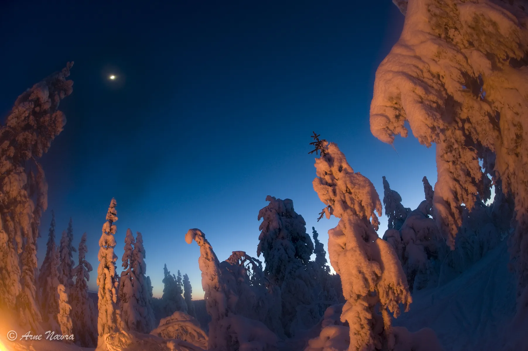 0101I — Holtefjell Holtefjell